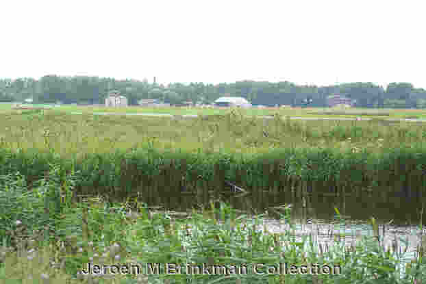 Spilve, July 2008